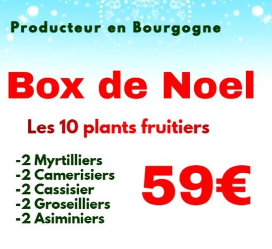 La Box de Noel avec 10 plants frutiers